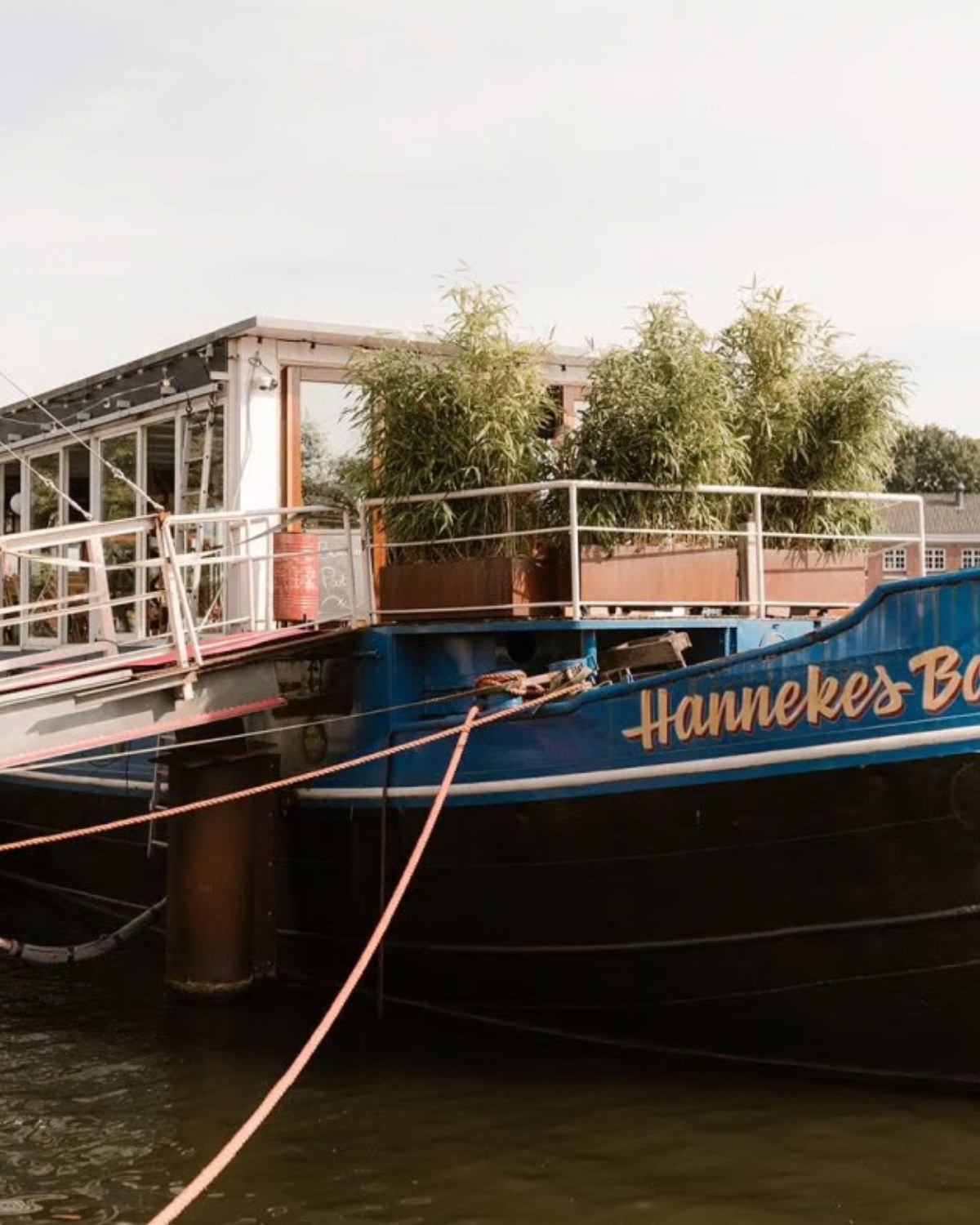 487481873_1012077337651731_3788773713852389534_n